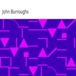 Birds and Bees, Sharp Eyes, and Other Papers
