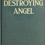 The Destroying Angel