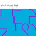 The Idyl of Twin Fires