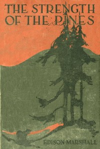 pg35378.cover_.medium.jpg The Strength of the Pines - Image 1