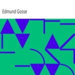 Aspects and Impressions