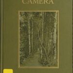 The Lure of the Camera