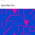 Boston Neighbours In Town and Out