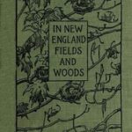 In New England Fields and Woods
