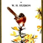 Birds and Man