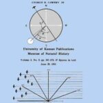 A Quantitative Study of the Nocturnal Migration of Birds