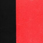 Autobiography of Countess Tolstoy