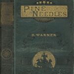 Pine Needles
