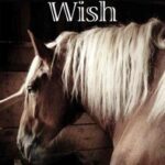 Maggie's Wish