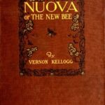 Nuova; or, The New Bee
