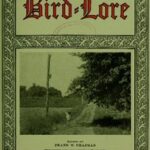 Bird-Lore, March-April 1916