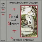 Pond and Stream