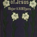 A Layman's Life of Jesus