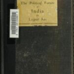 The Political Future of India
