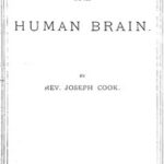 Alcohol and the Human Brain