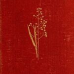 Field and Woodland Plants