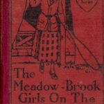 The Meadow-Brook Girls on the Tennis Courts; Or, Winning Out in the Big Tournament