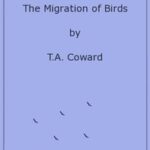 The Migration of Birds