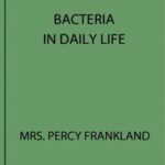Bacteria in Daily Life