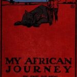 My African Journey