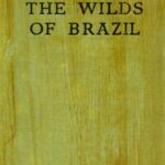 Lost in the Wilds of Brazil