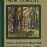 The New Forest