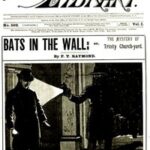 Bats in the Wall; or, The Mystery of Trinity Church-yard