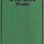 Airplane Boys in the Black Woods