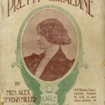 Pretty Geraldine, the New York Salesgirl; or, Wedded to Her Choice