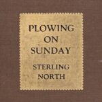 Plowing On Sunday