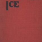 Down the Ice, and Other Winter Sports Stories