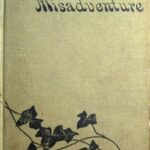 Mr. Incoul's Misadventure
