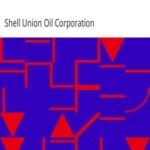 Let's Collect Rocks and Shells