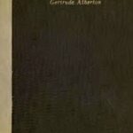 Life in the War Zone