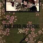 The Bird Hospital