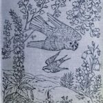 Moorland Idylls