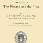 Dissection of the Platana and the Frog