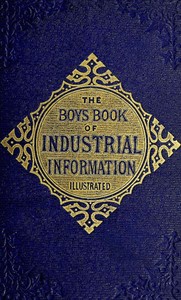 pg49489.cover_.medium.jpg The Boy's Book of Industrial Information - Image 1