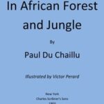 In African Forest and Jungle