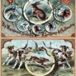 Ballad of the Lost Hare