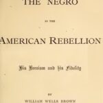 The Negro in the American Rebellion: His Heroism and His Fidelity