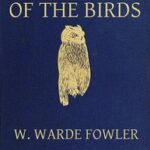 More Tales of the Birds