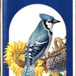 Fifty Birds of Town and City