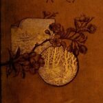 A Boy's Workshop: With plans and designs for in-door and out-door work