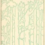 Among the Trees Again