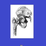 Elements of Surgery