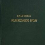 Introduction to the Study of Palæontological Botany