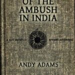 Mystery of the Ambush in India