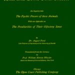 Ants and Some Other Insects: An Inquiry Into the Psychic Powers of These Animals