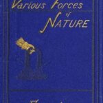 On the various forces of nature and their relations to each other